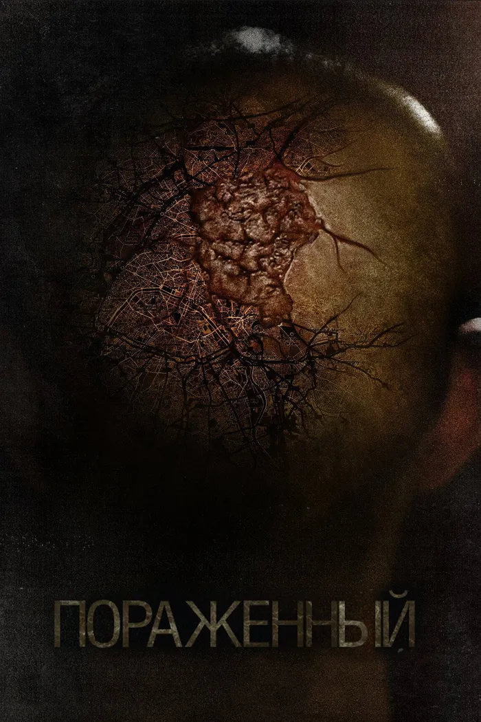 Поражённый (2013) poster