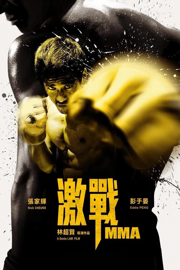 ММА (2013)