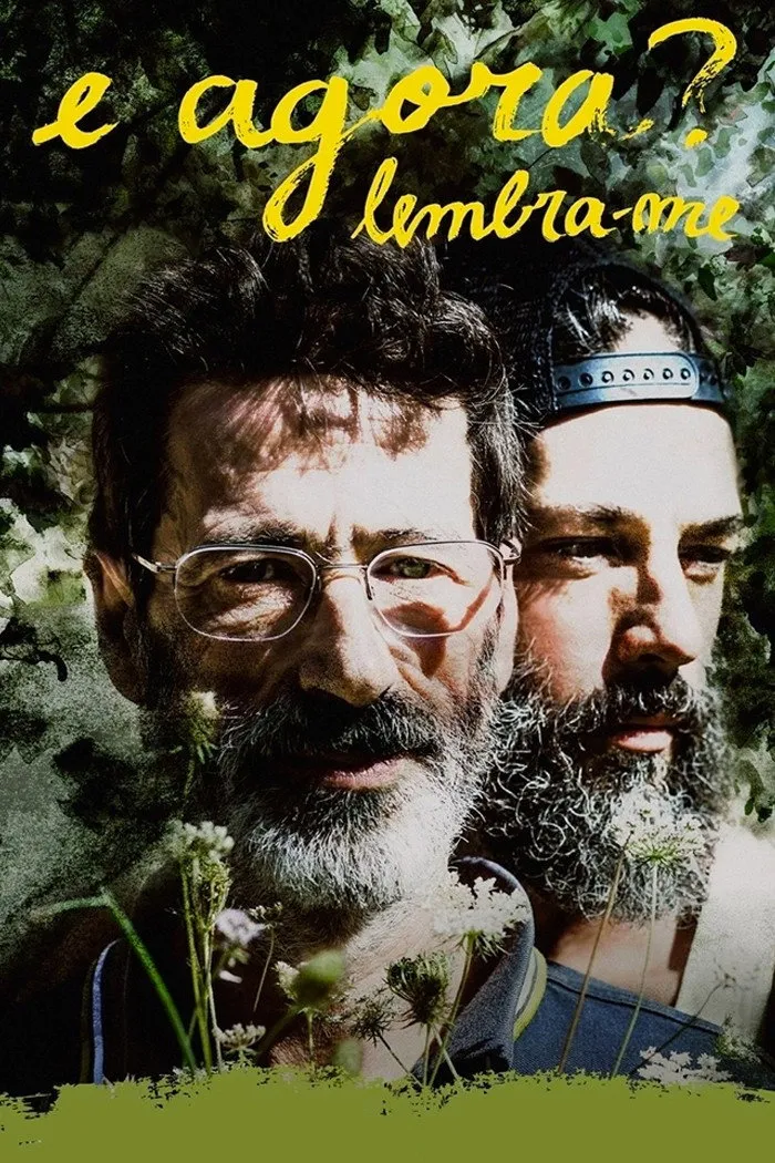 E Agora? Lembra-me (2013) poster