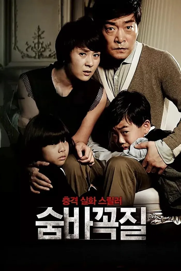 Прятки (2013) poster