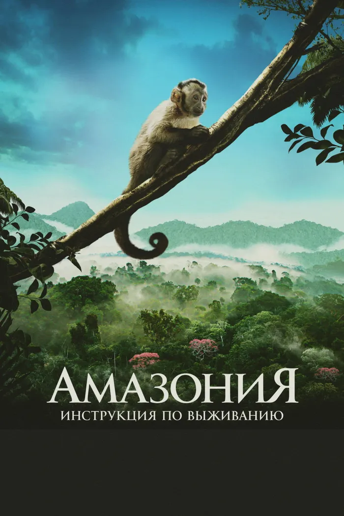 Амазония: Инструкция по выживанию (2013) poster