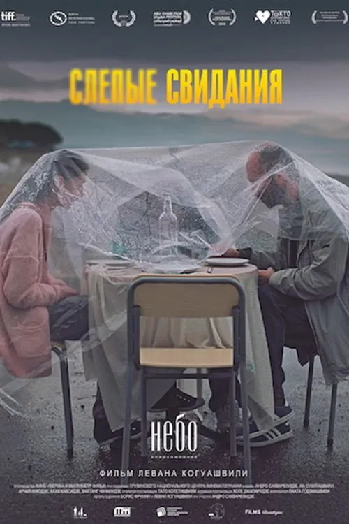 Слепые свидания (2013) poster