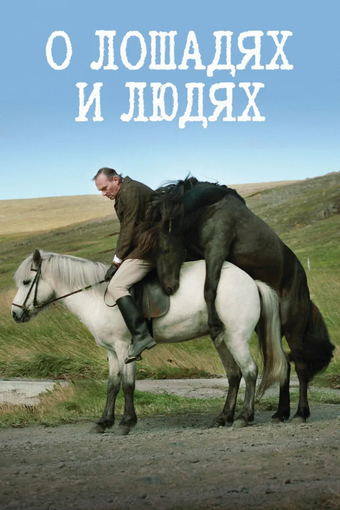 О лошадях и людях (2013) poster
