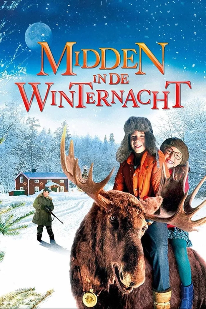 Midden in de Winternacht (2013) poster