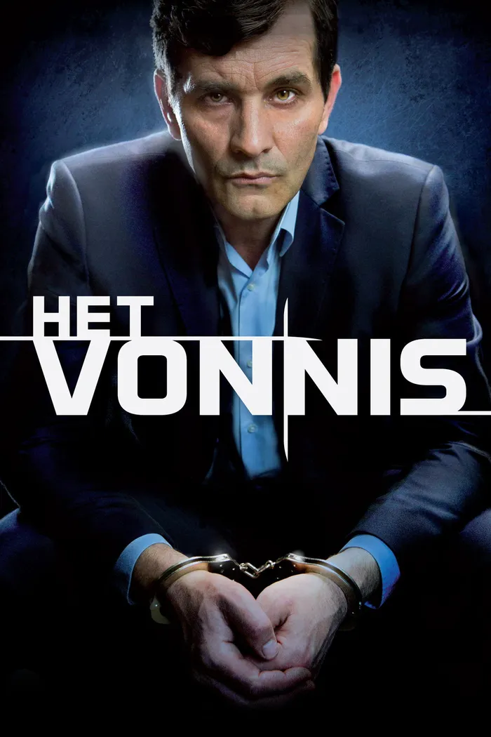 Вердикт (2013) poster