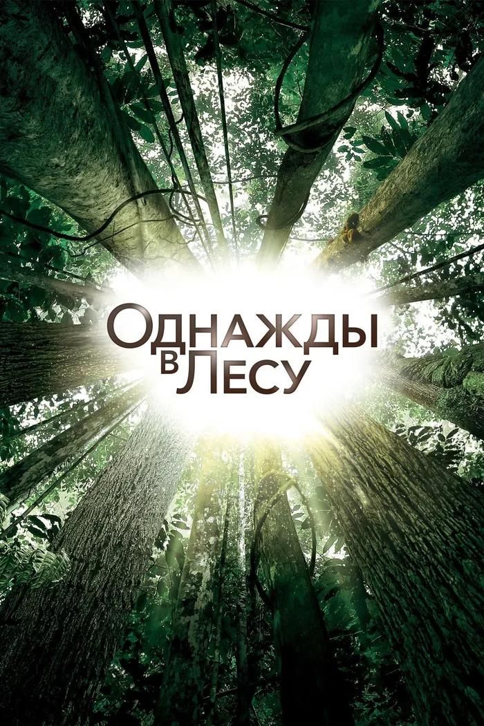 Однажды в лесу (2013) poster