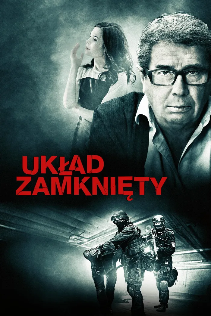 Układ zamknięty (2013) poster