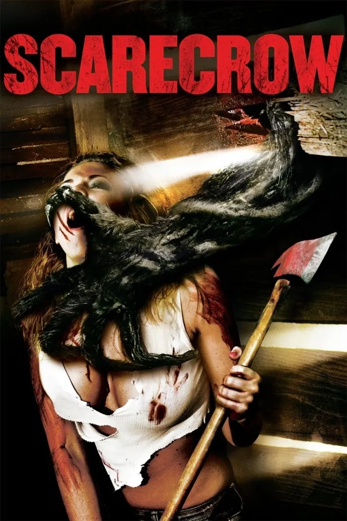 Пугало (2013) poster