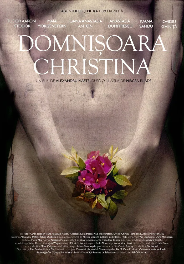 Девица Кристина (2013) poster