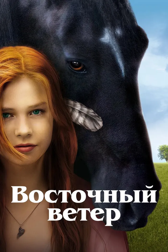 Восточный ветер (2013) poster
