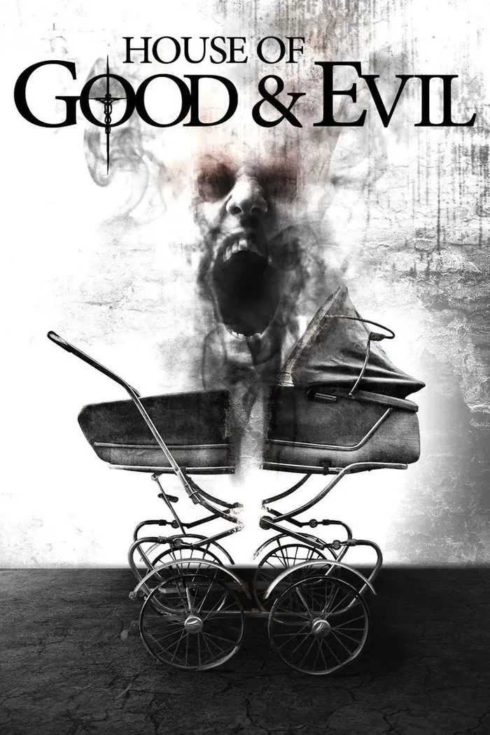 Дом добра и зла (2013) poster