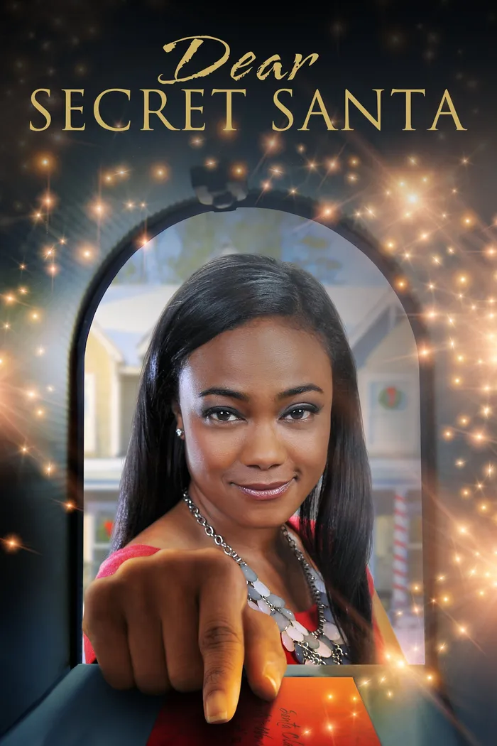 Dear Secret Santa (2013) poster
