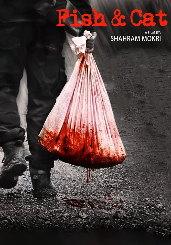 Рыба и кошка (2013) poster