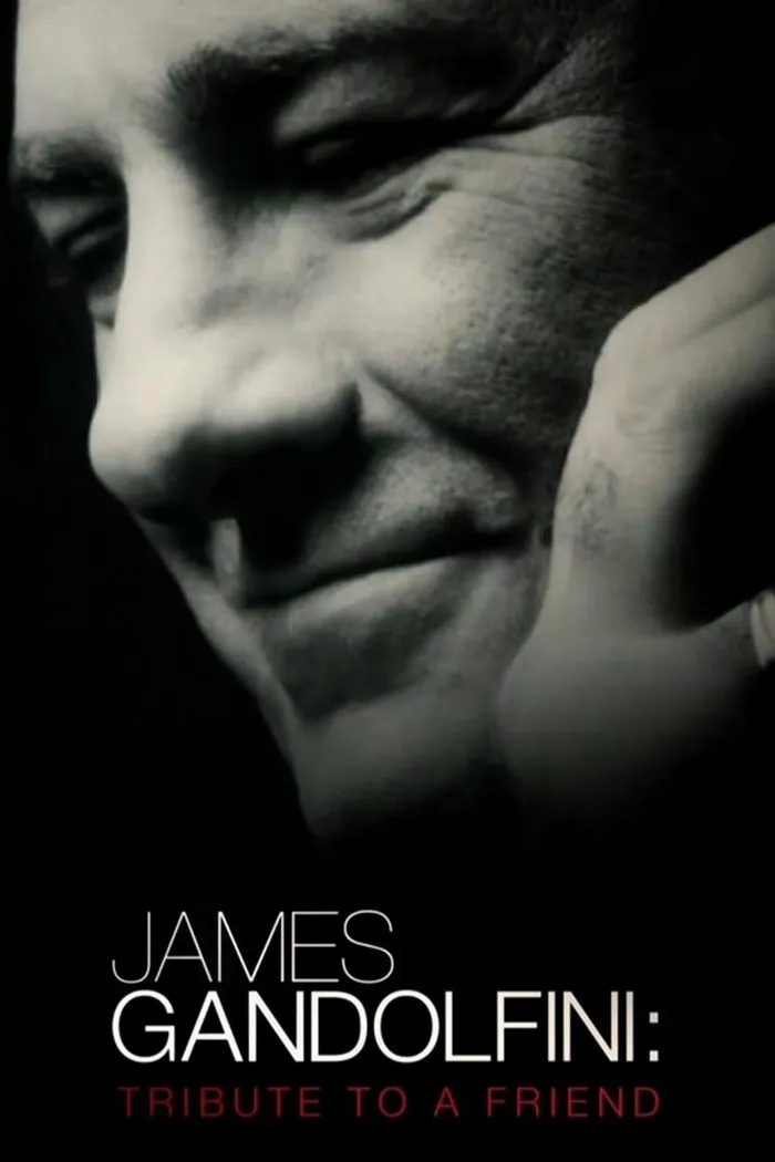 Джеймс Гандольфини: Дань уважения другу (2013) poster