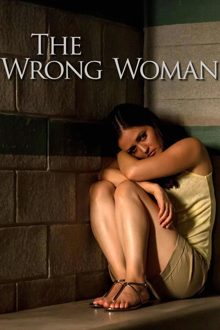 The Wrong Woman (2013) poster