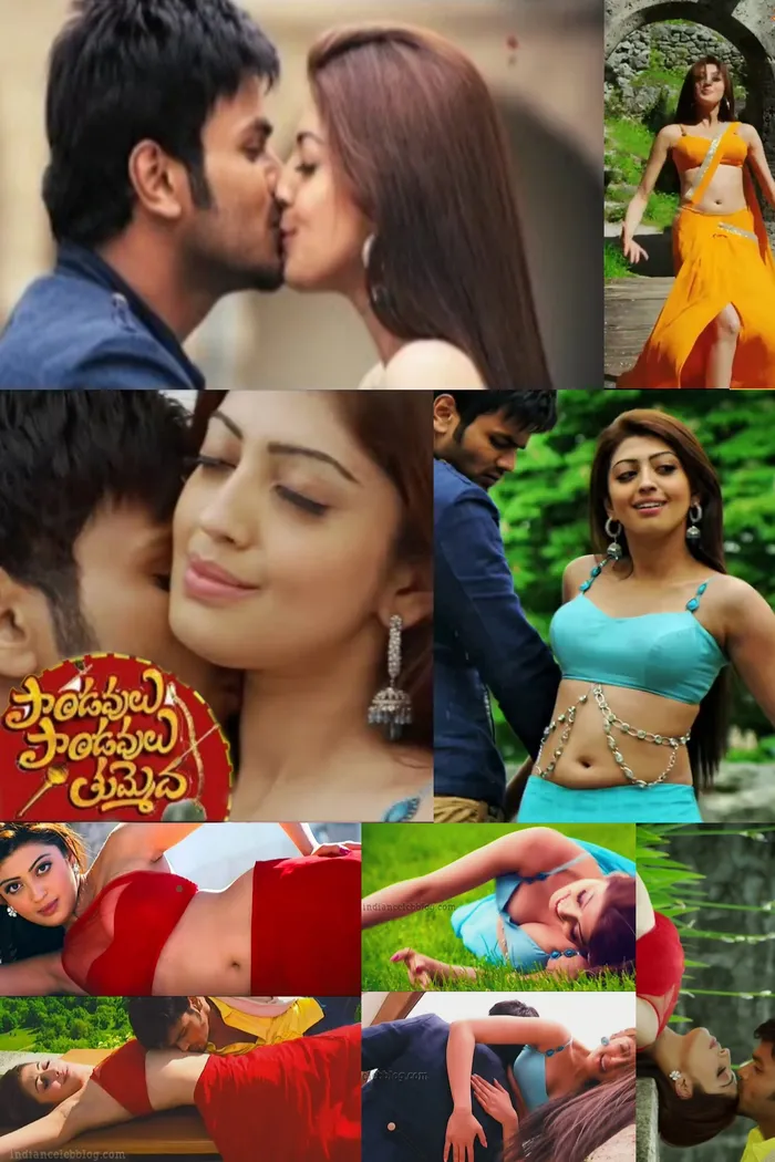 పాండవులు పాండవులు తుమ్మెద (2014) poster