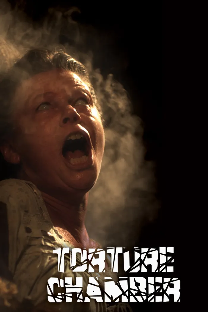 Камера пыток (2013) poster