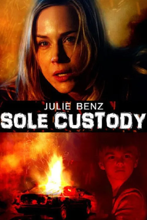 Sole Custody (2014) poster