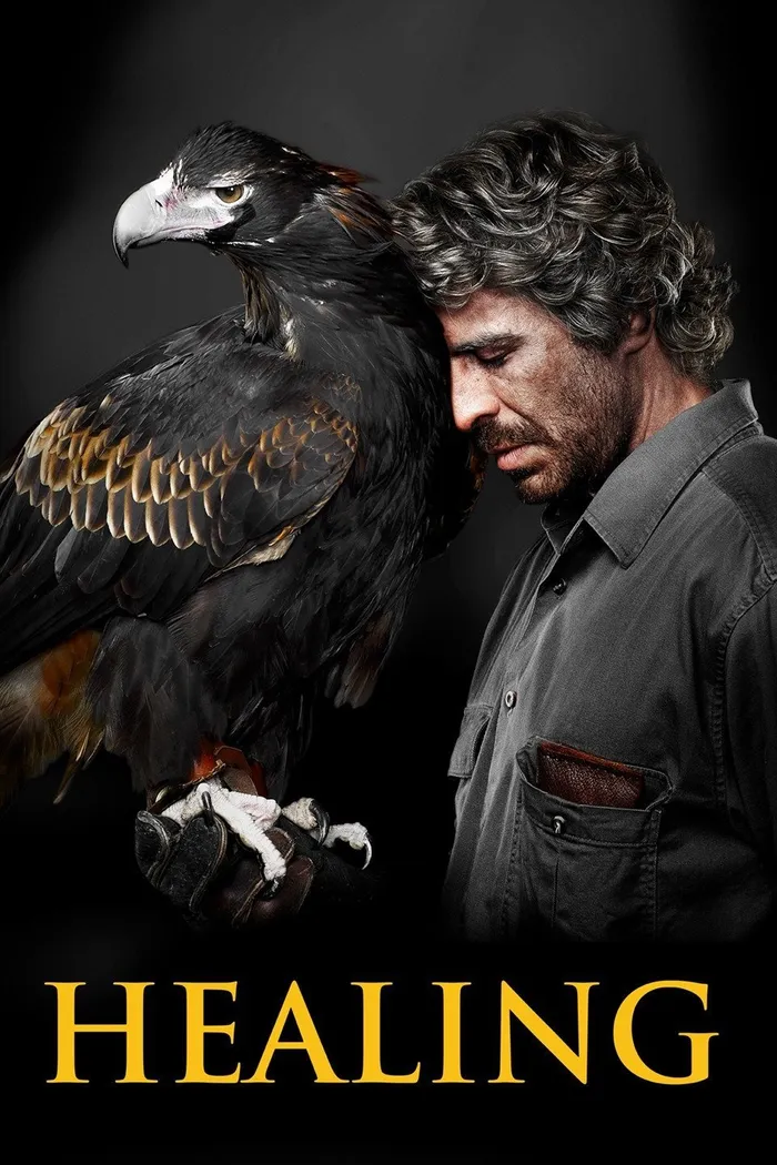Healing (2014) poster