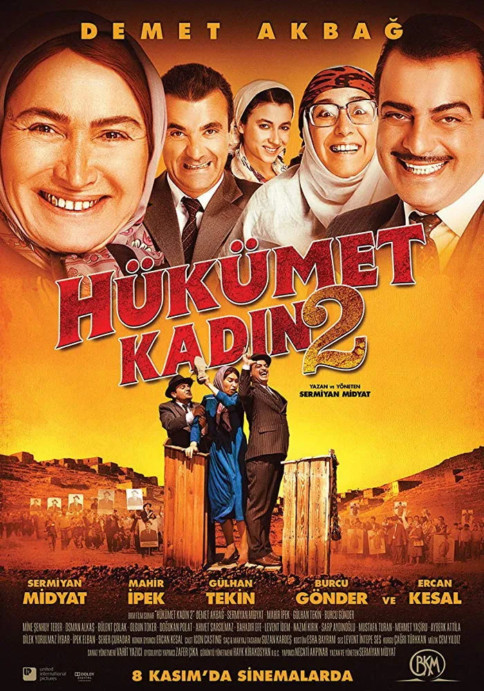 Hükümet Kadın 2 (2013) poster
