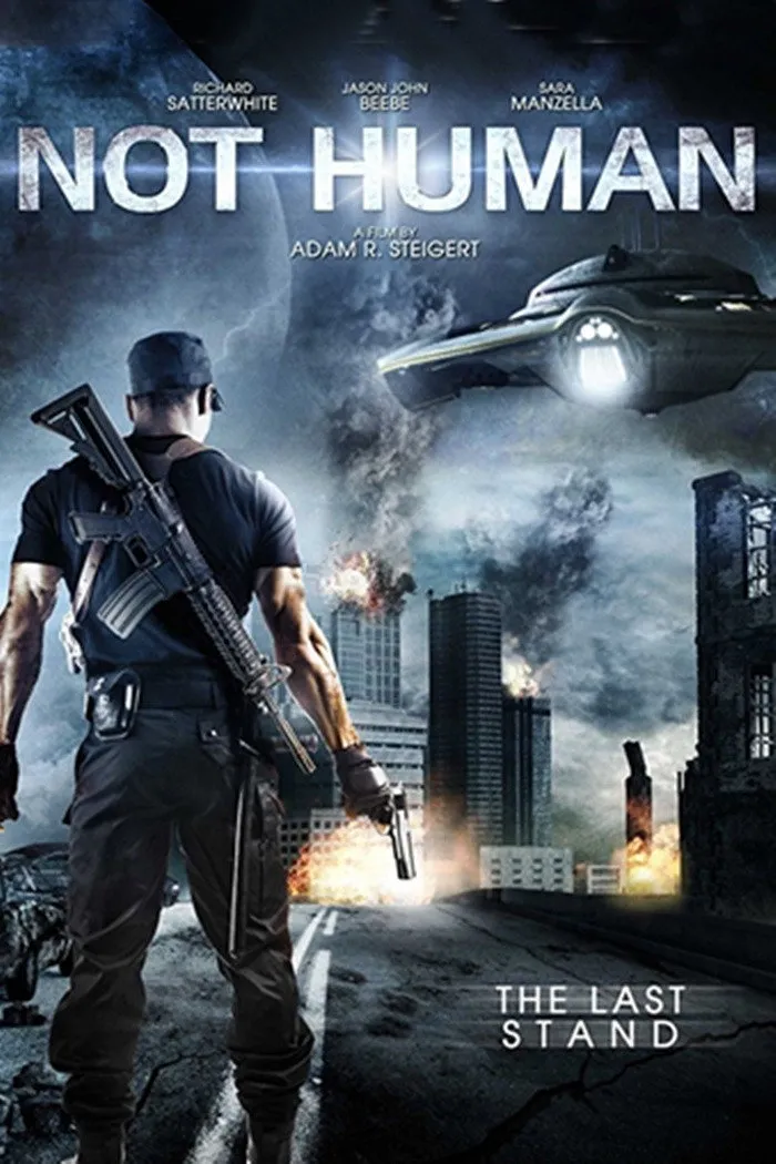 Ombis: Alien Invasion (2013) poster