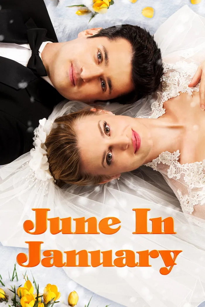 June in January (2014) poster