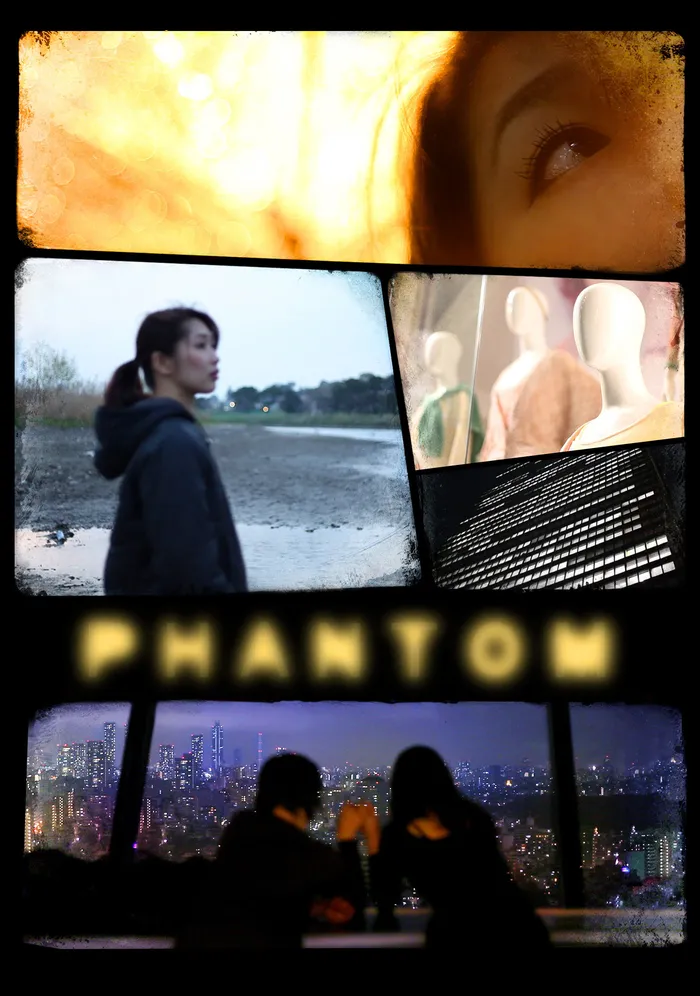 Phantom (2013) poster