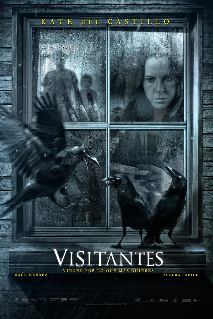 Посетители (2014) poster