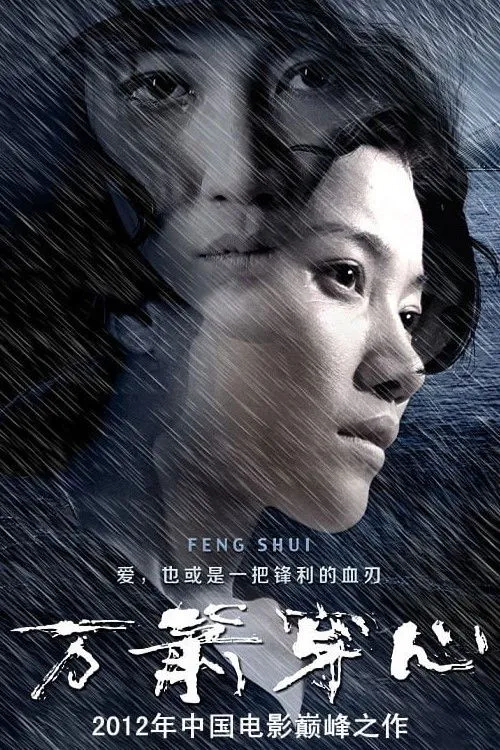 万箭穿心 (2012) poster