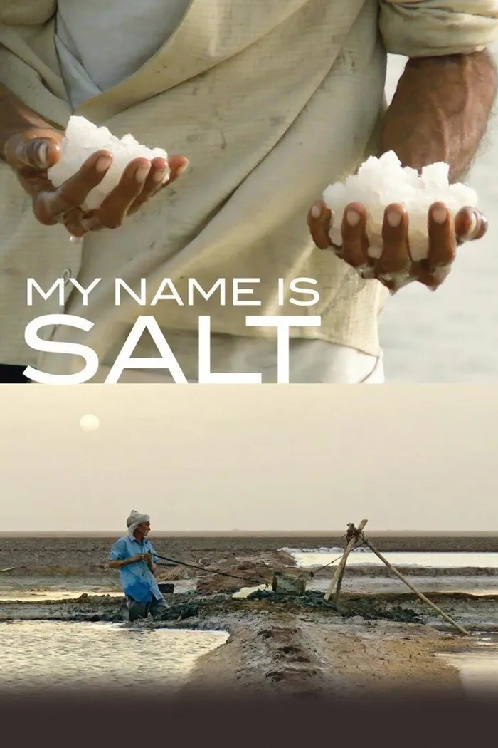 My Name Is Salt (2013) poster