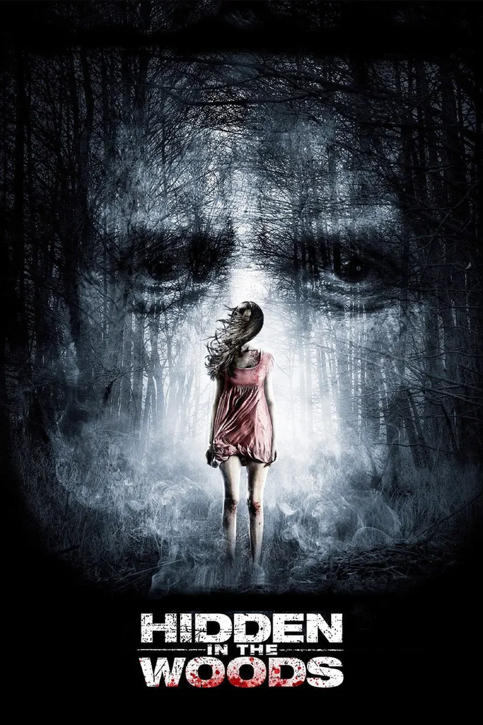 Спрятанный в лесу (2014) poster
