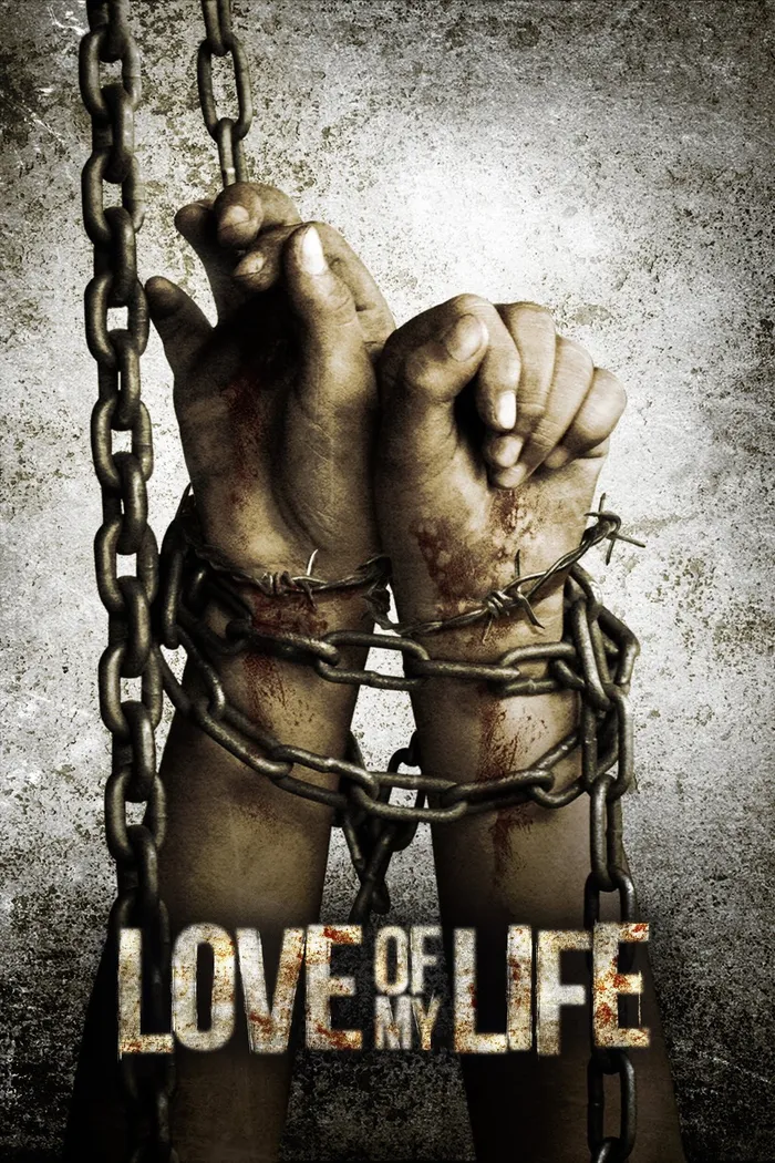 Любовь моей жизни (2013) poster