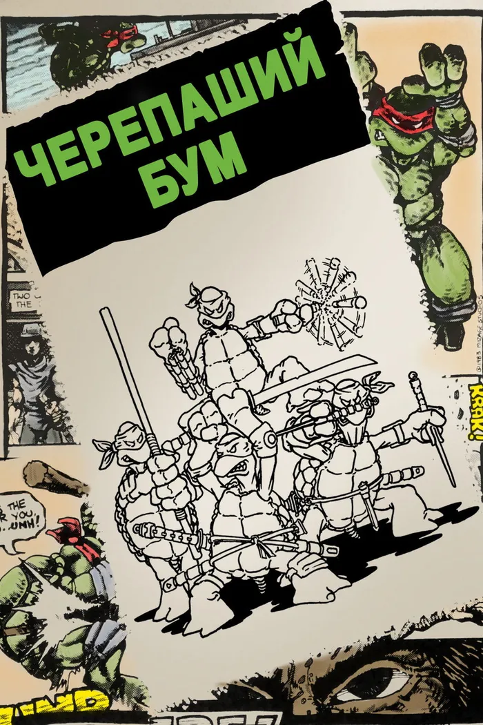 Черепаший бум (2014) poster