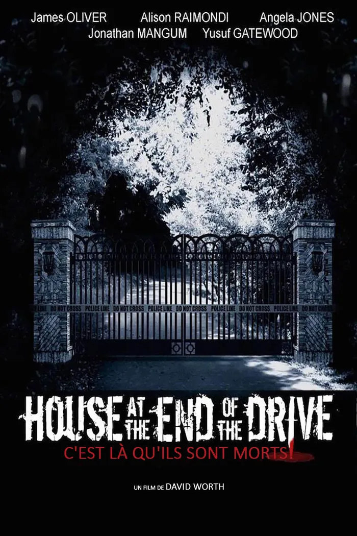 House at the End of the Drive (2014) poster