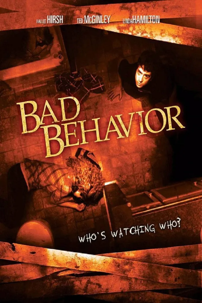 Bad Behavior (2013) poster