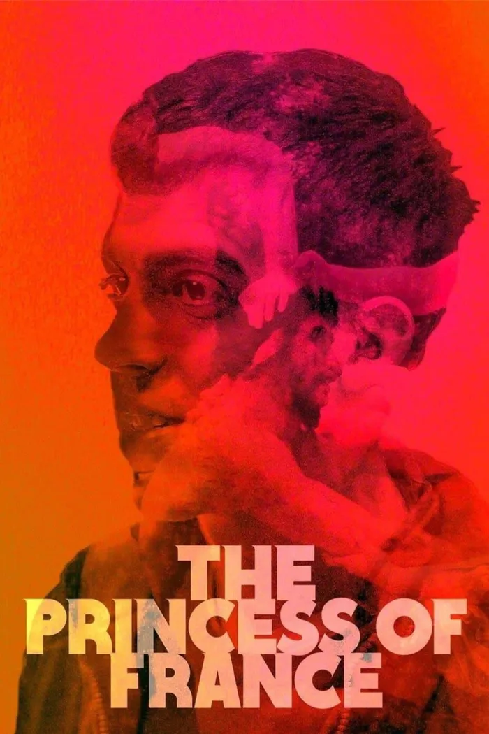 La princesa de Francia (2014) poster