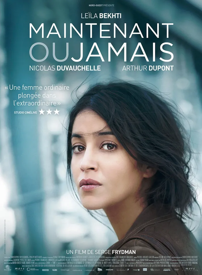 Сейчас или никогда (2014) poster