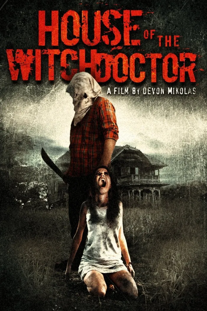 Дом колдуна (2013) poster