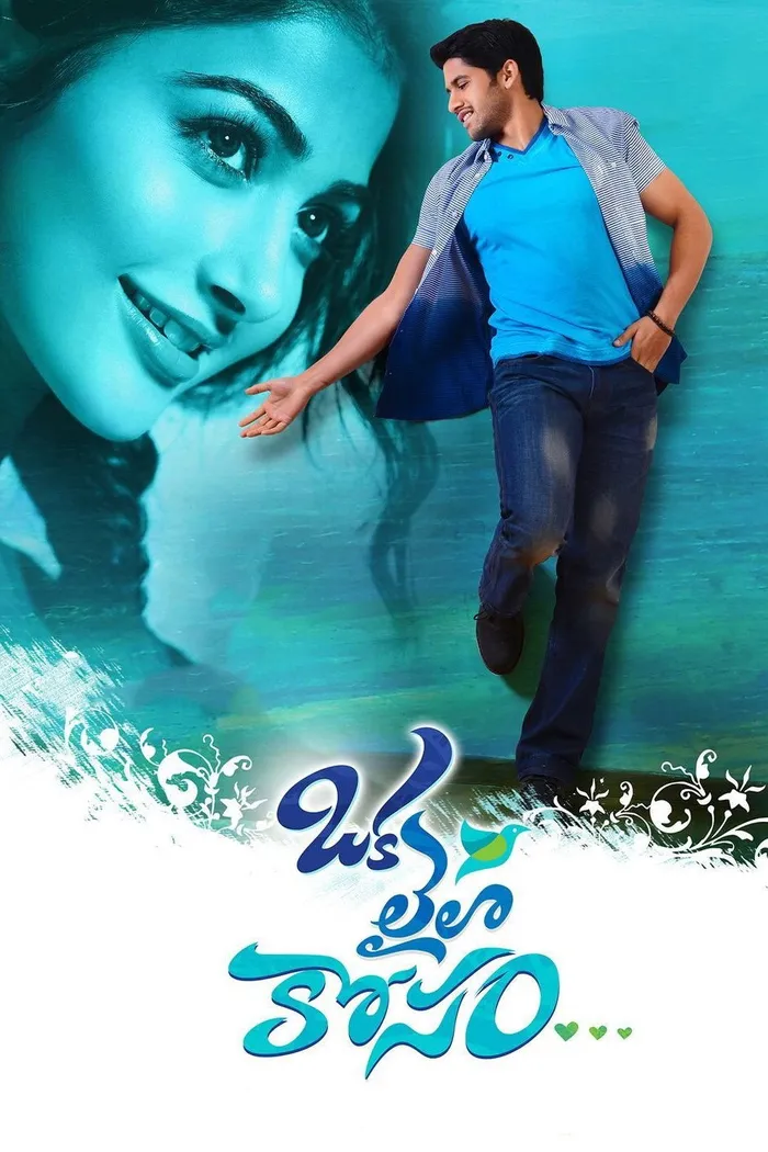 Ради единственной Лейлы (2014) poster