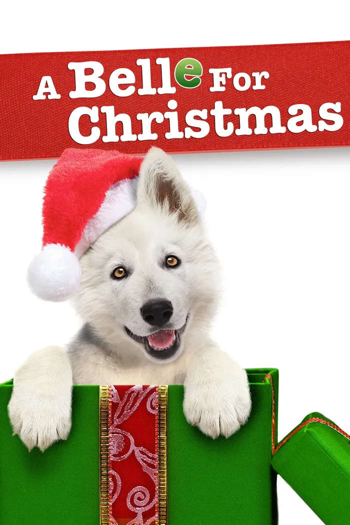 A Belle for Christmas (2014) poster