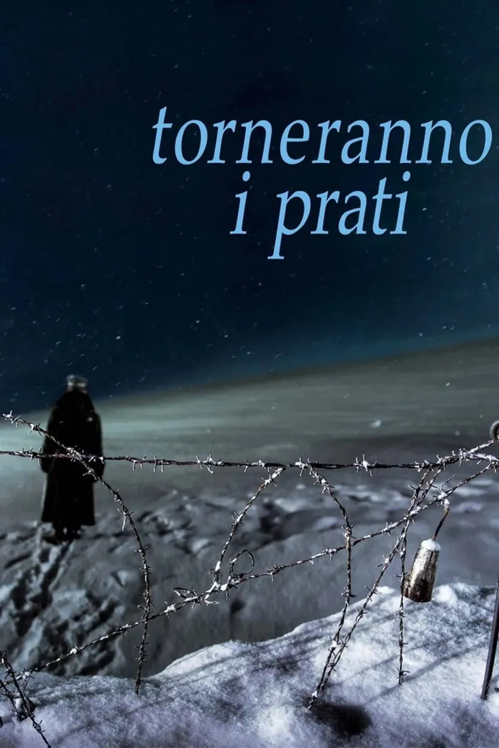 Torneranno i prati (2014)