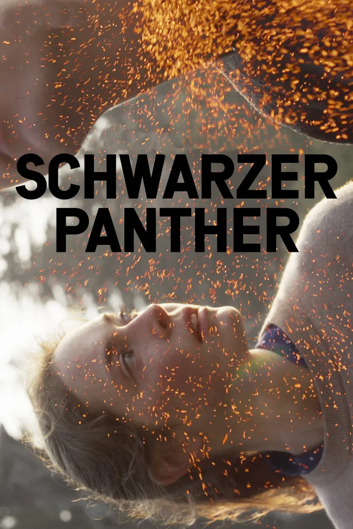 Чёрная пантера (2014) poster