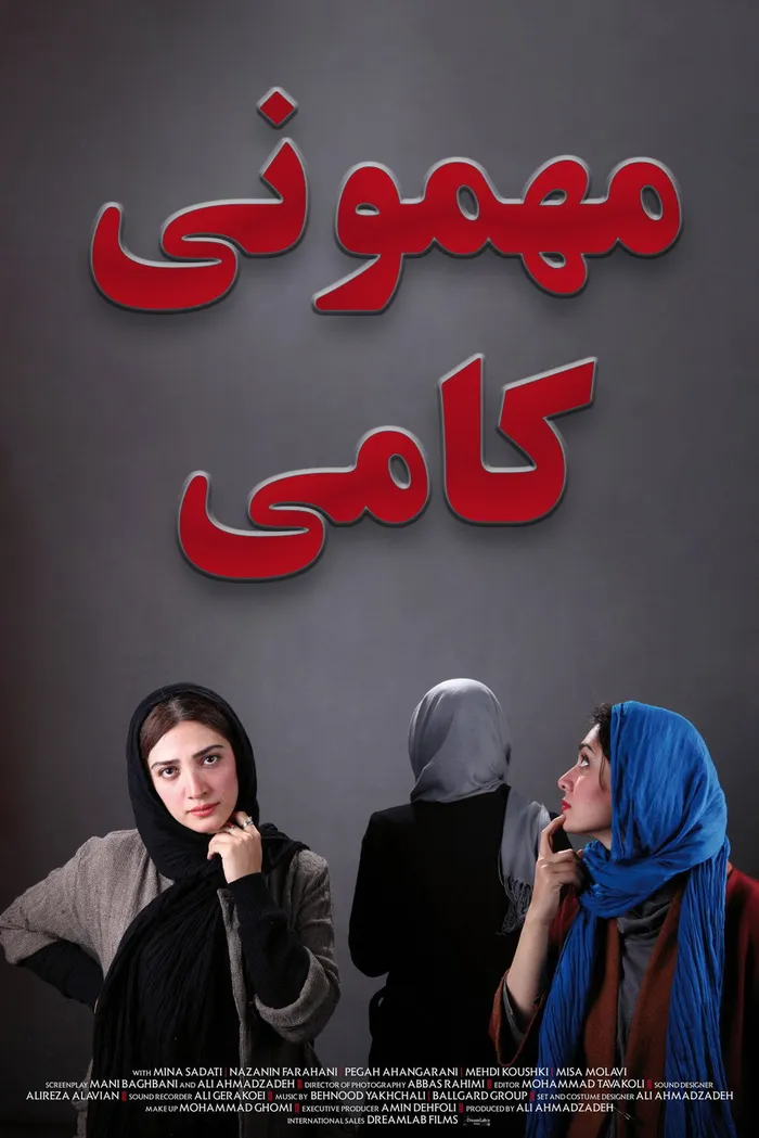 مهمونی کامی (2013) poster