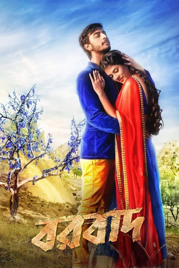 বরবাদ (2014) poster