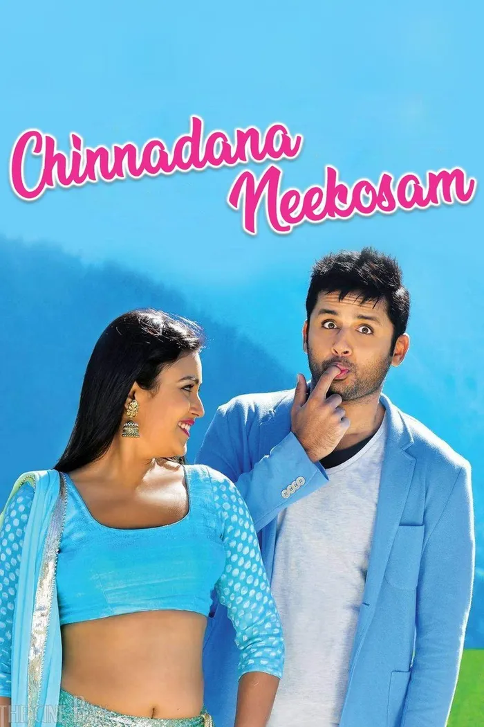చిన్నదానా నీ కోసం (2014) poster