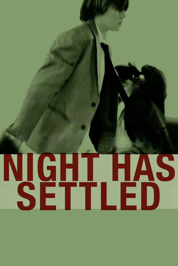 Night Has Settled (2014) poster