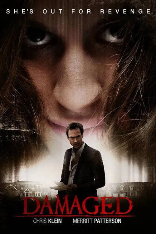 Damaged (2014) poster