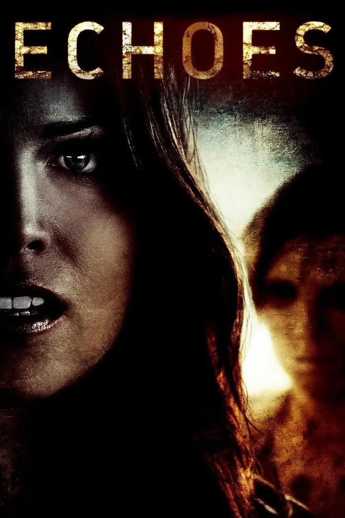 Отголоски (2014) poster