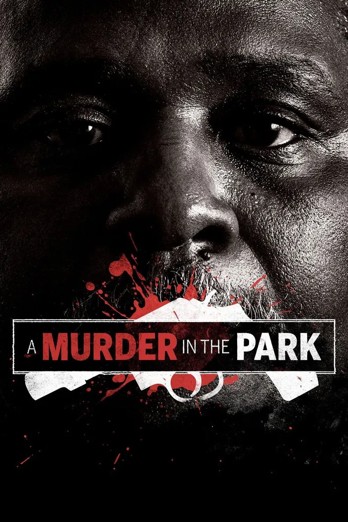 A Murder in the Park (2014) poster