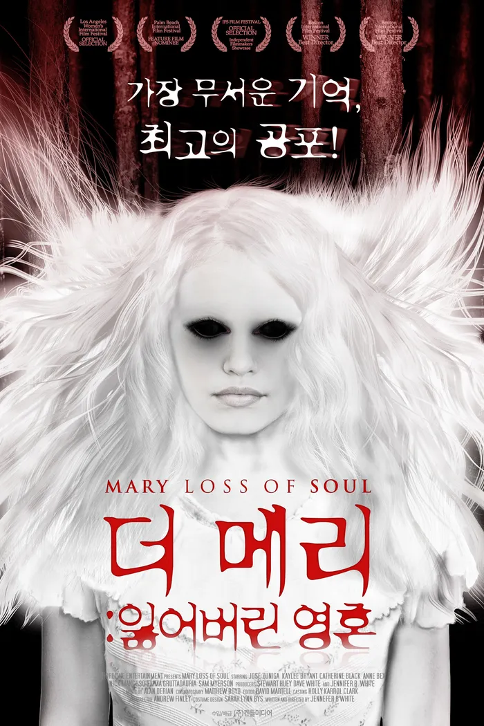 Mary Loss of Soul (2014) poster